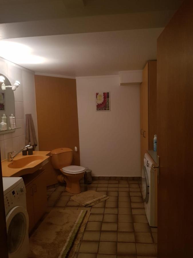 Gemuetliche Ferienwohnung Mit Kamin Und Sauna! Nistertal Exteriör bild