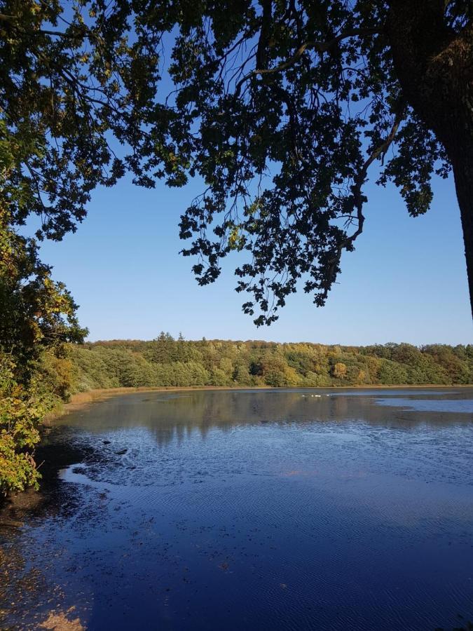 Gemuetliche Ferienwohnung Mit Kamin Und Sauna! Nistertal Exteriör bild