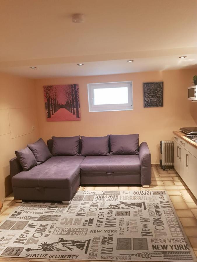 Gemuetliche Ferienwohnung Mit Kamin Und Sauna! Nistertal Exteriör bild