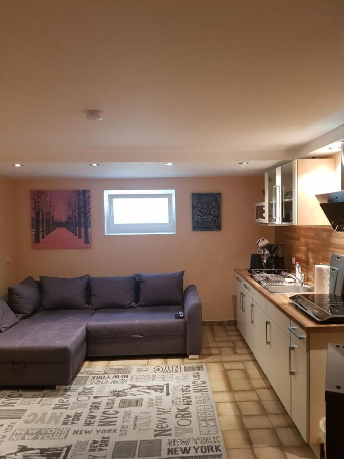 Gemuetliche Ferienwohnung Mit Kamin Und Sauna! Nistertal Exteriör bild