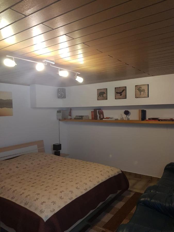 Gemuetliche Ferienwohnung Mit Kamin Und Sauna! Nistertal Exteriör bild